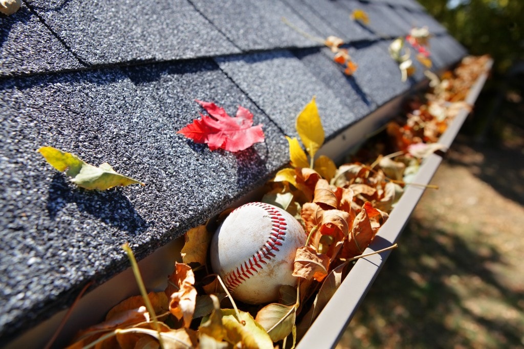 leaves in clogged rain gutter