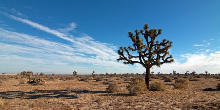 southern california dry arid climate desert