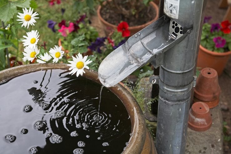 Water Harvesting with Gutter and Rain Barrel